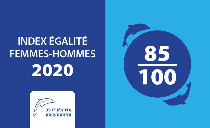 Index égalité femmes-hommes 2020 85/100